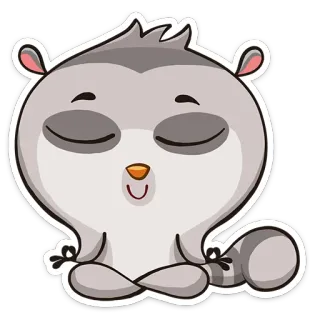 😌 animal, dessin animé, raton laveur, méditation, mignon, autocollant whatsapp sticker