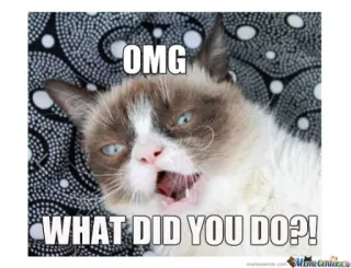 🤨 Grumpy Cat OMG
WHAT DID YOU DO?! 暴躁猫, 表情包, 猫, 幽默, 网络迷因, 搞笑 whatsapp sticker