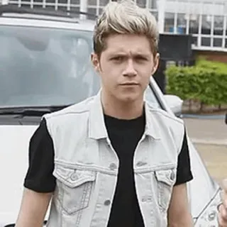 🌙 Niall Horan Musiker, Sänger, blonde Haare, Promi, One Direction telegram sticker