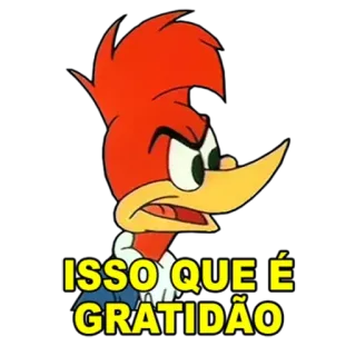 😡 Woody Woodpecker ISSO QUE É GRATIDÃO cartoon, woody woodpecker, gratitude, sticker telegram sticker