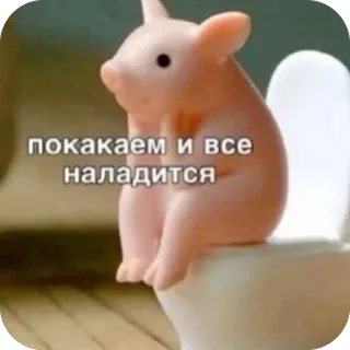 🫥 pig покакаем и все наладится pig, toilet, funny, meme, bathroom, animal, cute telegram sticker