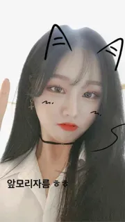 🍓 앞머리자름 ㅎㅎ woman, cat ears, selfie, girl, cute, asian, hair telegram sticker