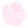 🌺