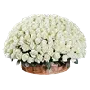 💐