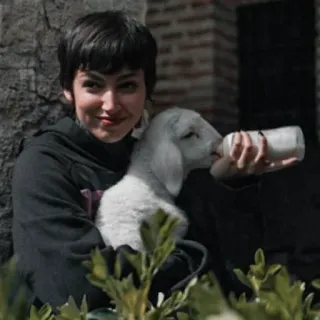 🍸 femme, agneau, animal, portrait, mignon, animal de compagnie telegram sticker