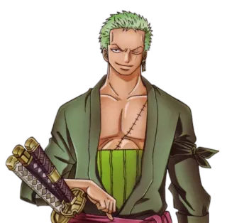 😏 Zoro One Piece anime, manga, swords, one piece, zoro, pirate, character, green hair telegram sticker