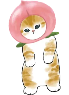 🌺 cat, peach, kitten, cute, animal, pet, kawaii telegram sticker