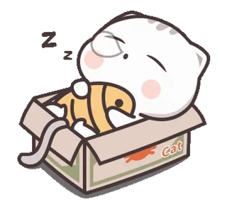 😴 Cat gato, dormindo, animal, caixa, fofo telegram sticker