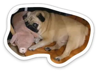 🥺 pug, dog, pet, animal, pig, toy telegram sticker