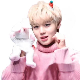 ✊️ kpop, милый, зайчик, айдол, азиатский, розовый whatsapp sticker