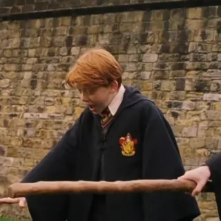 🦁 Ron Weasley Harry Potter ロン・ウィーズリー, ハリー・ポッター, 杖, 魔法使い, 魔法, 呪文 telegram sticker