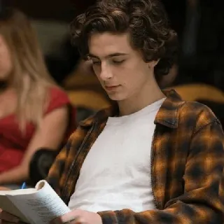 📯 Timothée Chalamet homme, acteur, écriture, flanelle, cheveux bouclés telegram sticker
