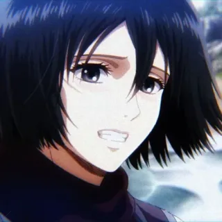 😐 Mikasa Ackerman Attack on Titan Anime, Attack on Titan, Mikasa Ackerman, Charakter, Manga whatsapp sticker