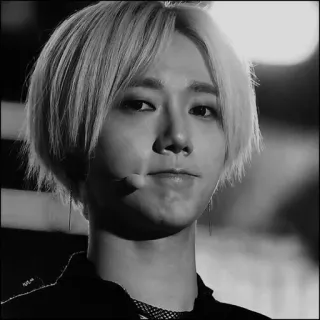 🕸 kpop, айдол, портрет, человек, черно-белый telegram sticker