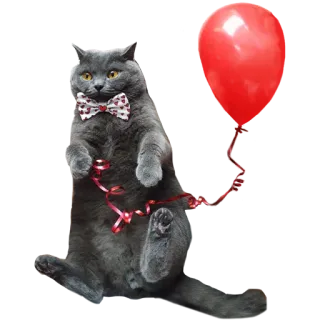 🎈 cat, balloon, bowtie, party, cute, pet, animal telegram sticker