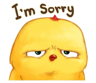 🐤 I'm Sorry desculpa, perdão, pintinho, pássaro, fofo, desenho animado whatsapp sticker