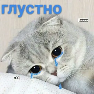 😿 ГЛУСТНО แมว, เศร้า, ร้องไห้, น้ำตา, glustno, น่ารัก whatsapp sticker
