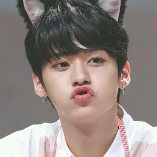 🎸 orelhas de gato, kpop, retrato, fofo, homem, beicinho telegram sticker