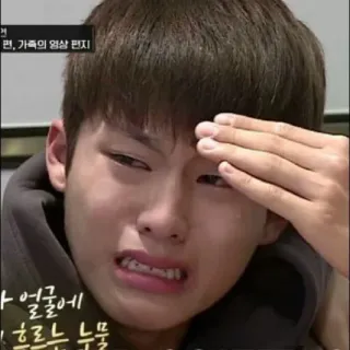 😭 편, 가족의 영상 편지 piangere, triste, arrabbiato, emotivo telegram sticker
