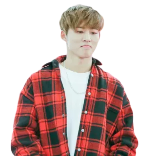 ☹️ persona, uomo, kpop, asiatico, camicia rossa, quadri, flanella whatsapp sticker