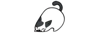 💧 cat, angry, cute, funny, sticker telegram sticker