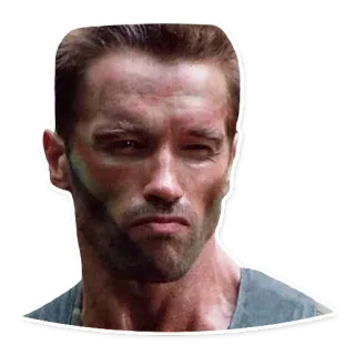 😑 Arnold Schwarzenegger Predator Film aksi, Arnold Schwarzenegger, Predator, Militer, Komando, Tentara, Perang whatsapp sticker