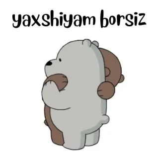 🐻‍❄️ yaxshiyam borsiz Dessin animé, Ours, Amitié, Câlin, Mignon whatsapp sticker