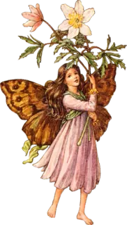 🧚‍♀ fata, fantasy, fiore, ali, ragazza, vintage, arte, illustrazione whatsapp sticker
