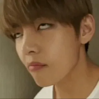 🍪 V V, BTS, K-pop, idol, meme, funny, sarcastic, expressive whatsapp sticker