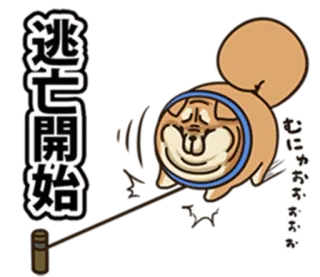 🐶 逃亡開始 Hund, japanischer Text, Laufen, Anime telegram sticker
