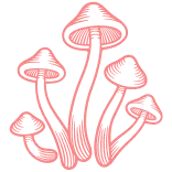 🍄 grzyb, grzyby, natura, roślina, mykologia telegram sticker