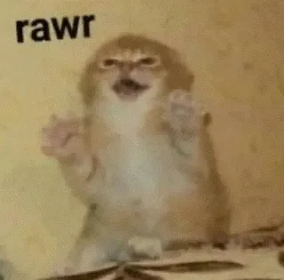 😡 rawr Affe, lustig, Tier, Meme telegram sticker