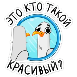 😊 ЭТО КТО ТАКОЙ КРАСИВЫЙ? gaivota, pássaro, espelho, fofo, desenho animado telegram sticker