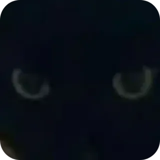 🐱 black cat whatsapp sticker