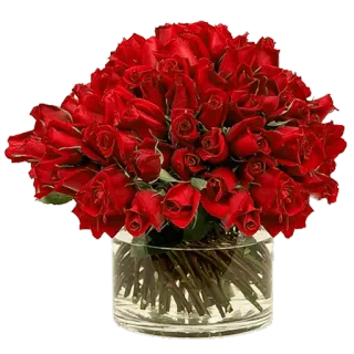 🌹 красные розы, букет цветов, стеклянная ваза, цветочная композиция, розы, цветы telegram sticker