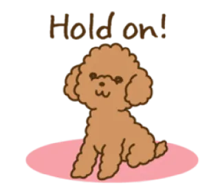 🖐 Hold on! cachorro, poodle, fofo, esperando, espere whatsapp sticker