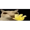 🙂