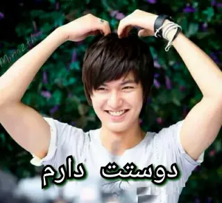 😍 دوستت دارم love, persian, text, romantic telegram sticker