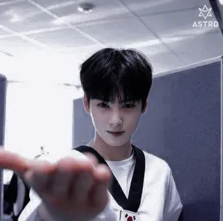 🦧 ASTRO kpop, astro, cha eun woo, idola, musik, penyanyi whatsapp sticker