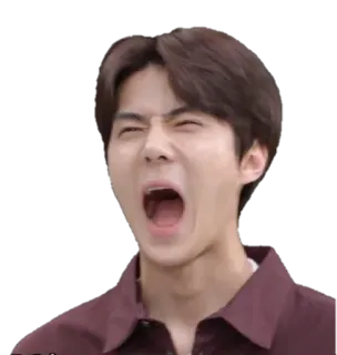 🤪 telegram sticker