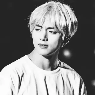 🎬 V 뷔, BTS, 케이팝, 가수, 음악가, 아이돌, 인물사진, 흑백 telegram sticker