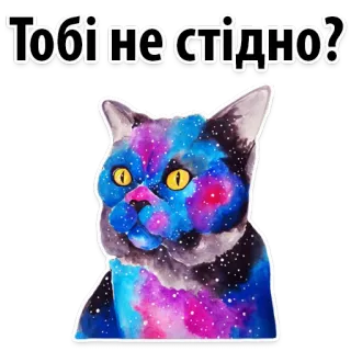😕 Тобі не стідно? chat, galaxie, autocollant, art, espace, animal whatsapp sticker