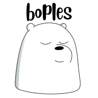 🐻‍❄️ boples ours, dessin animé, mignon, boples, animal whatsapp sticker