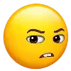 🫤