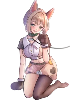 😸 Anime, Ragazza, Orecchie, Carino, Animale domestico, Collare telegram sticker