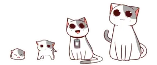 🐈 猫, 可爱, 动物, 小猫, 卡通 whatsapp sticker