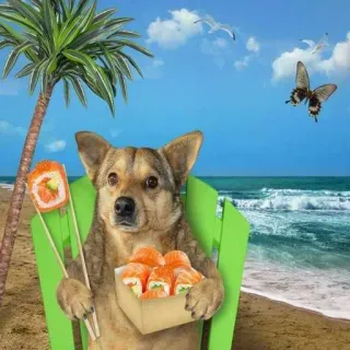 😏 dog dog, sushi, beach, summer, vacation, funny, pet telegram sticker