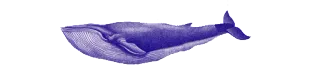 🐳 Wal, Meerestier, Meereslebewesen, Ozean, Blauwal telegram sticker