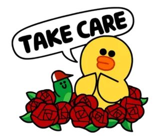 😇 TAKE CARE милый, утка, розы, дружба, приветствие, мультфильм telegram sticker