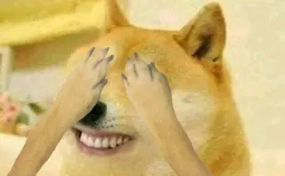 🙈 Doge pies, mem, shiba inu, doge, śmieszne, zwierzę, mem internetowy telegram sticker